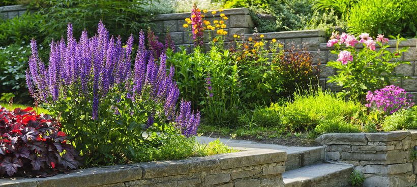 Tiered gardens with stone walls