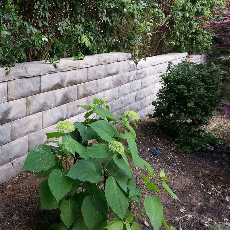 Grey precast block retaining wall with a hydrangea and shrubs planted in front